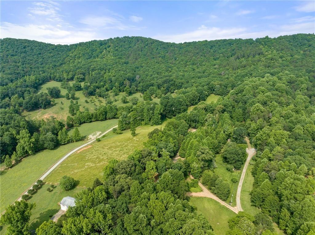 0 Freeman View Trail Cleveland, GA 30528 - Photo 1 of 20