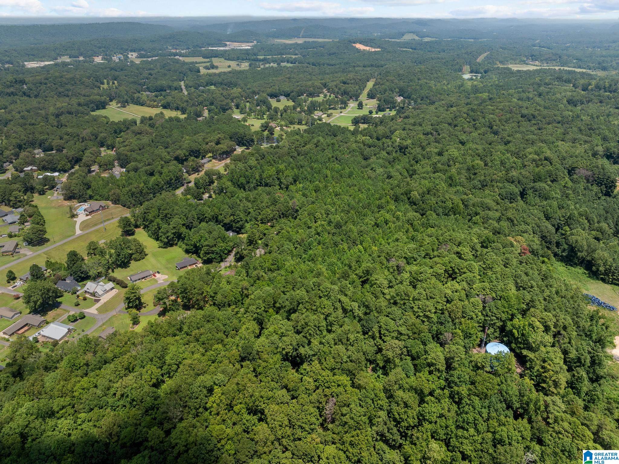 0 Sunshine Avenue Oneonta, AL 35121 - Photo 7 of 21