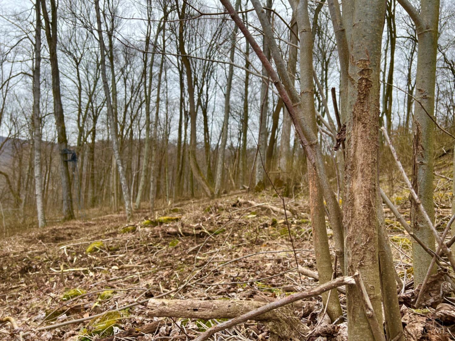 0 Reel Ridge Road Stout, OH 45684 - Photo 8 of 49