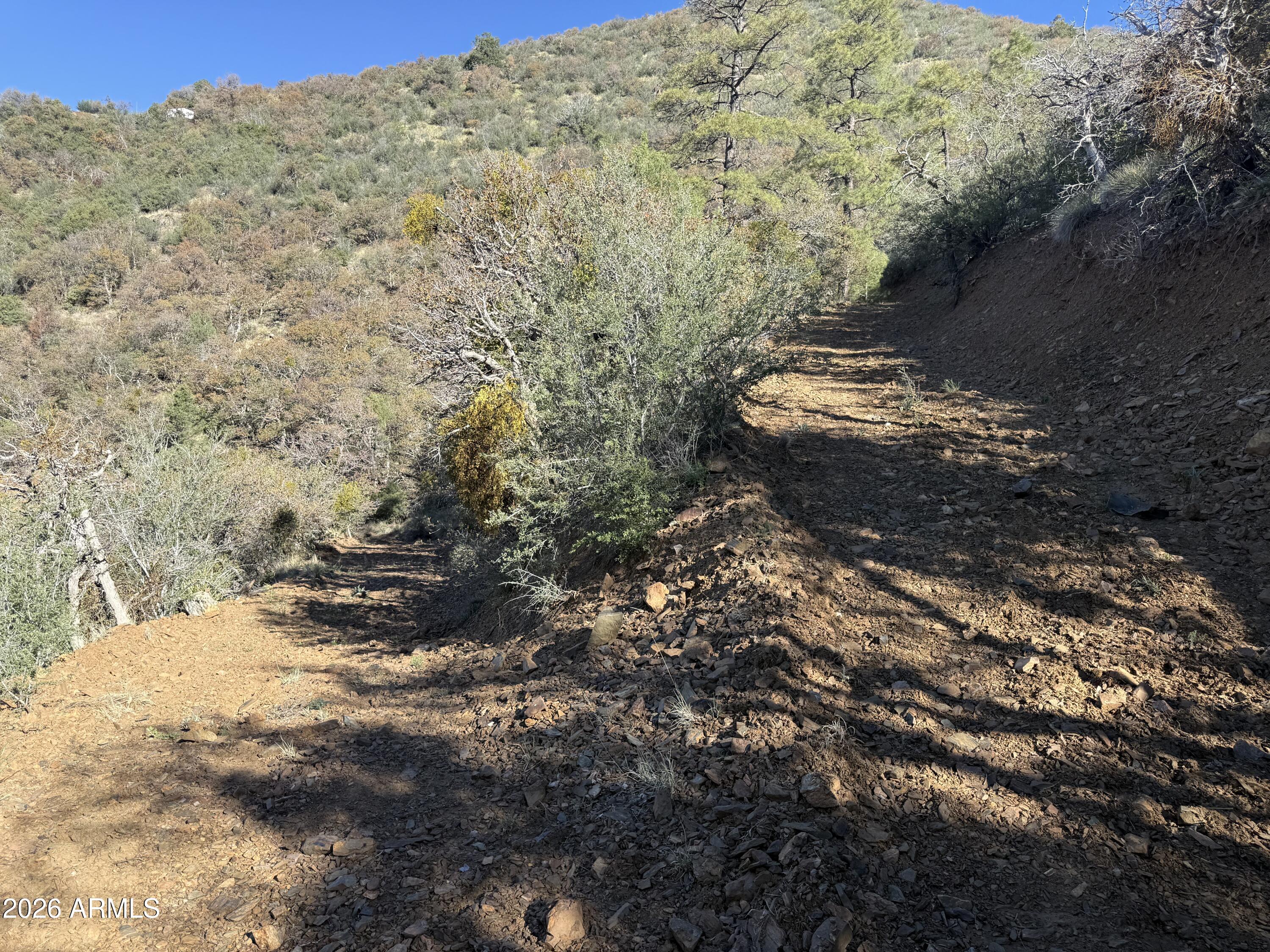a view of a yard with a tree