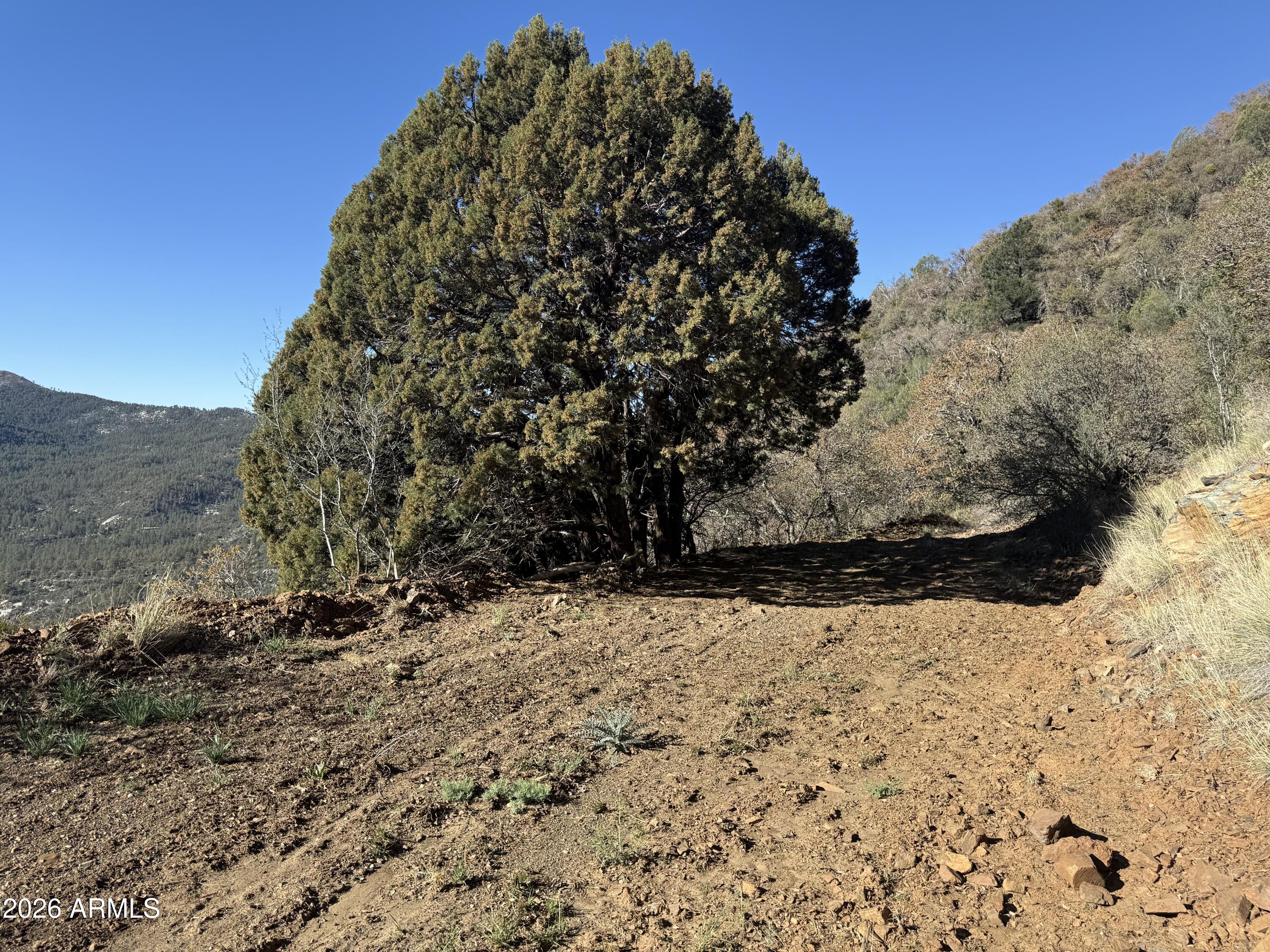 22560 Gladiator Mine Road Crown King, AZ 86343 - Photo 2 of 6 a view of a yard covered in snow