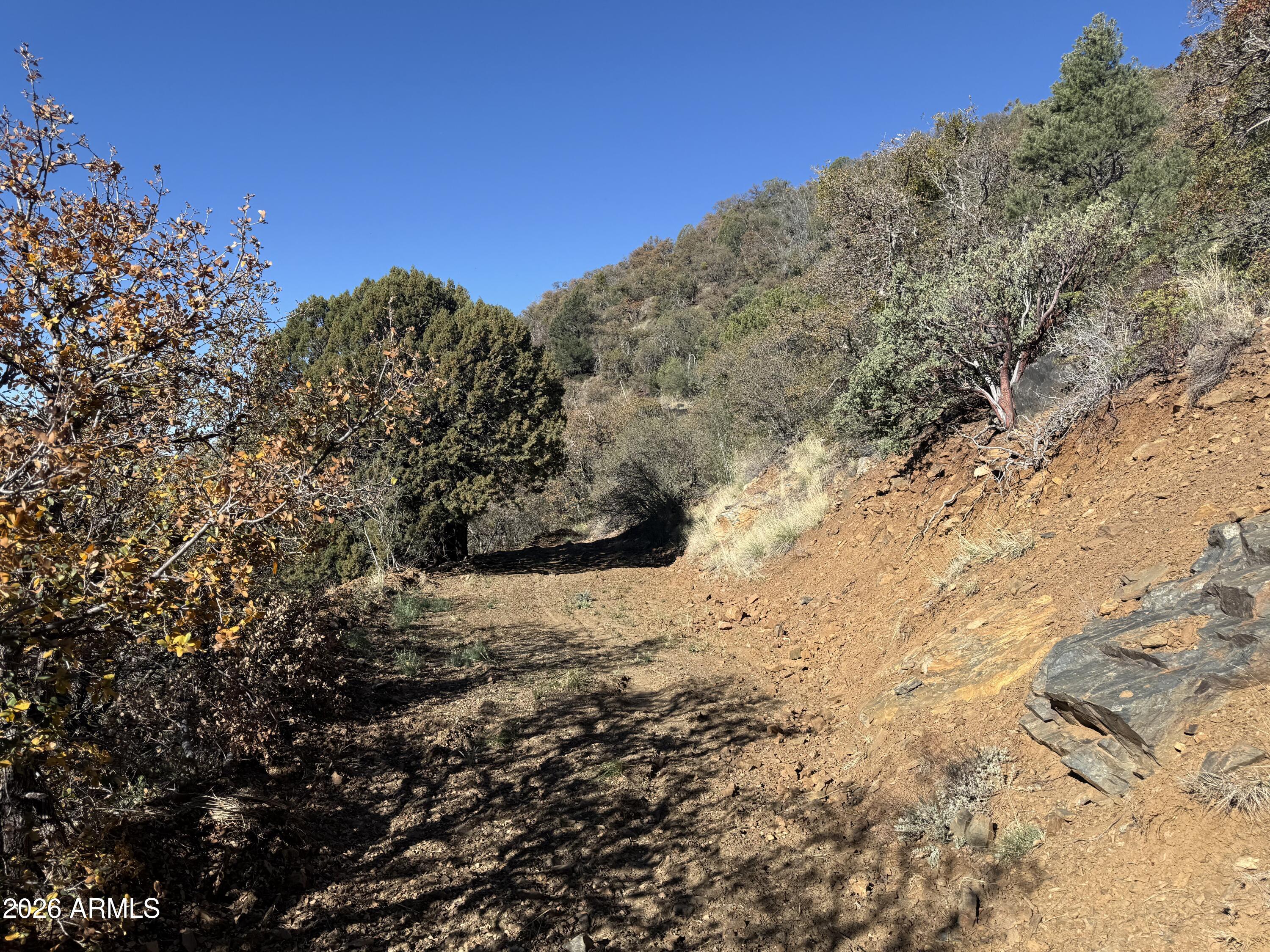 22560 Gladiator Mine Road Crown King, AZ 86343 - Photo 6 of 6 a view of a field with trees in the background