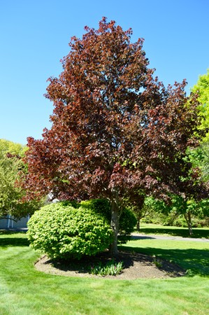 57 R F Higgins Drive Norwell, MA 02061 - Photo 4 of 30 Gallery Image 4