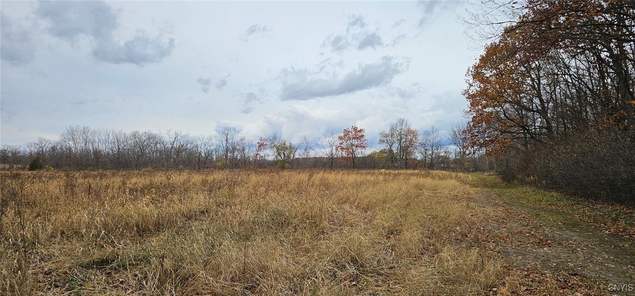 East Lake Road Geneva, NY 14456 - Photo 18 of 31