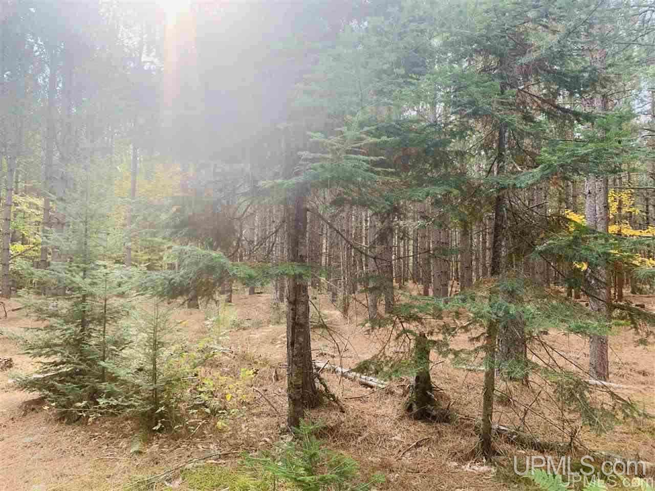 Tbd Off Of Flodin Road Garden, MI 49835 - Photo 7 of 13