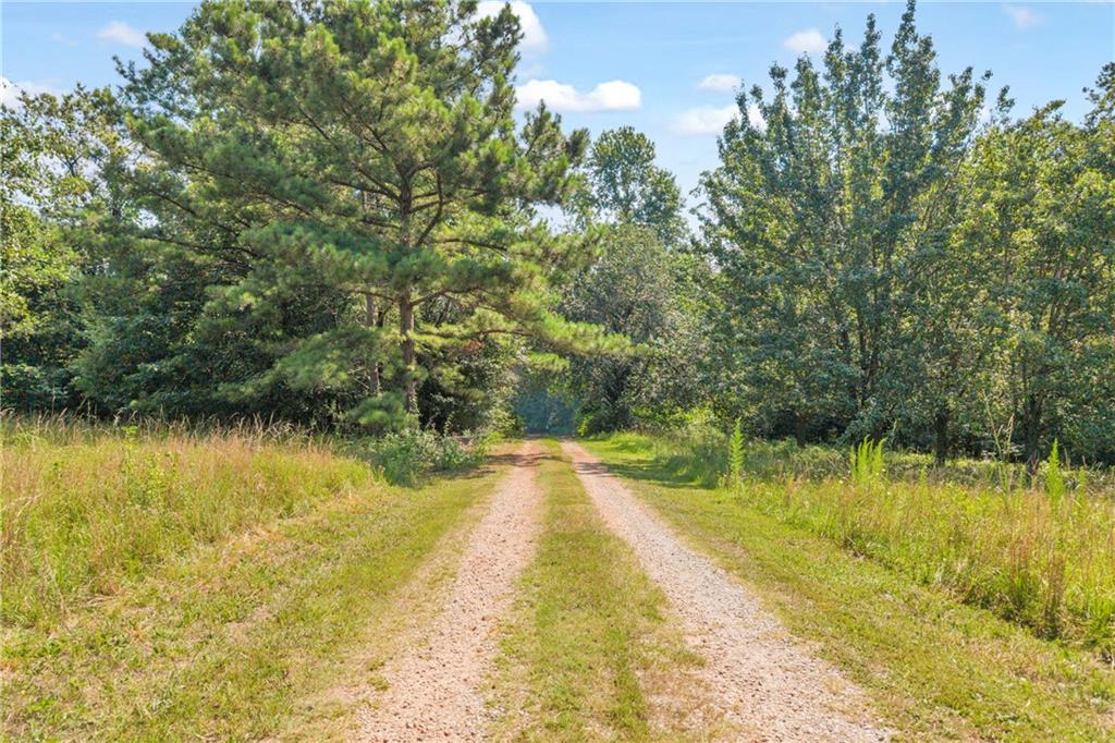 230 North Rover Road Williamson, GA 30292 - Photo 76 of 92