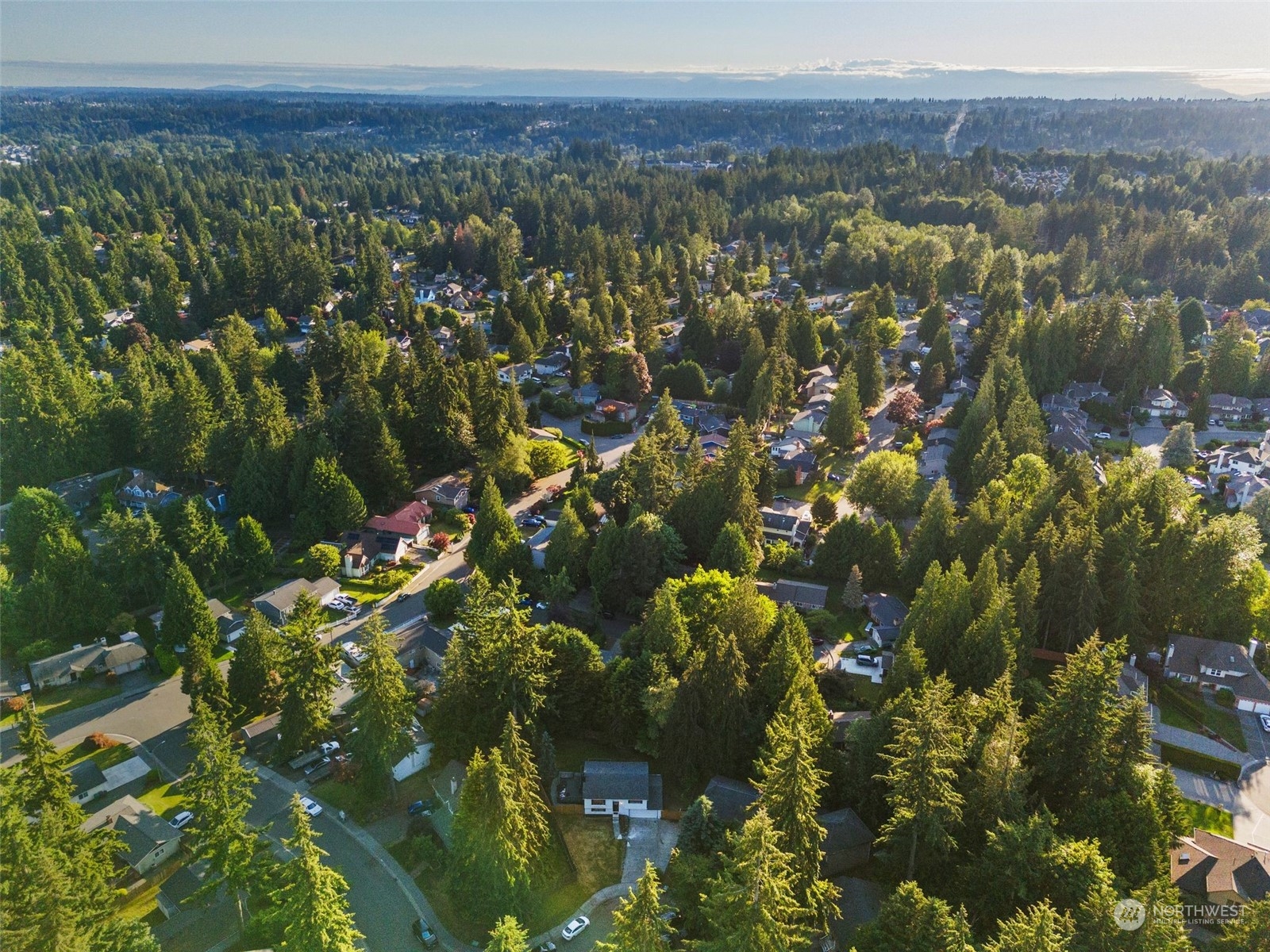 3006 164th Place Southeast Bothell, WA 98012 - Photo 33 of 39 a view of a forest with a tree