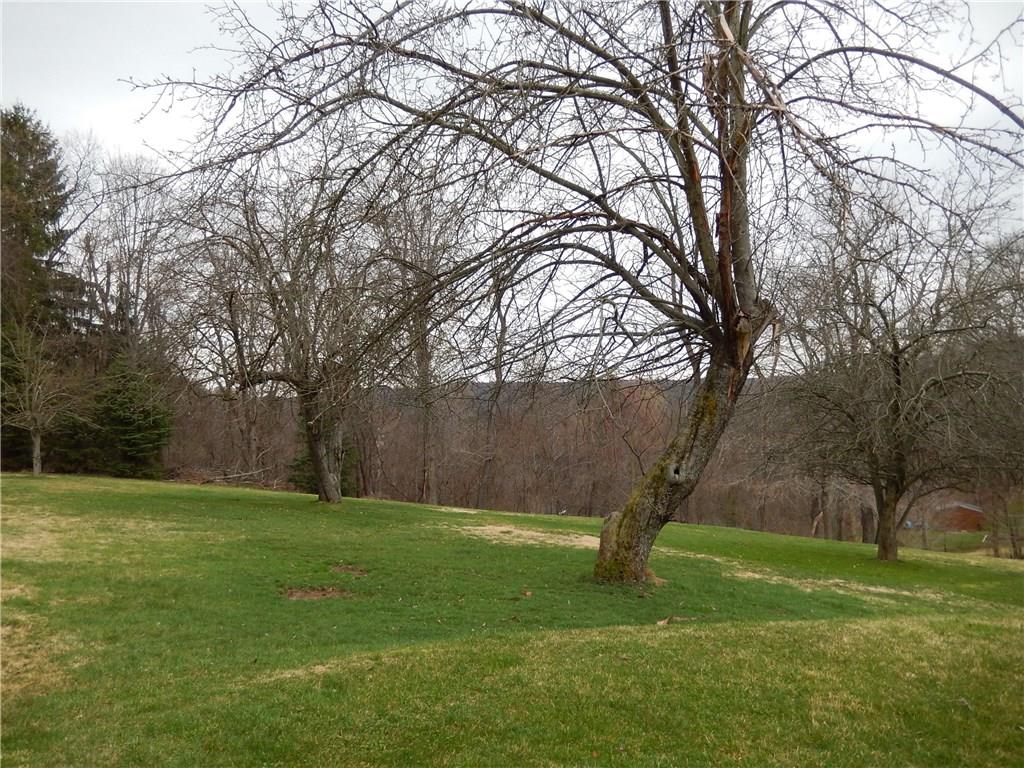 539 Friel Road Economy, PA 15005 - Photo 18 of 20