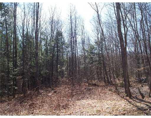 300 Pierce Hill Road Moscow, ME 04920 - Photo 8 of 14 Land/Lot.