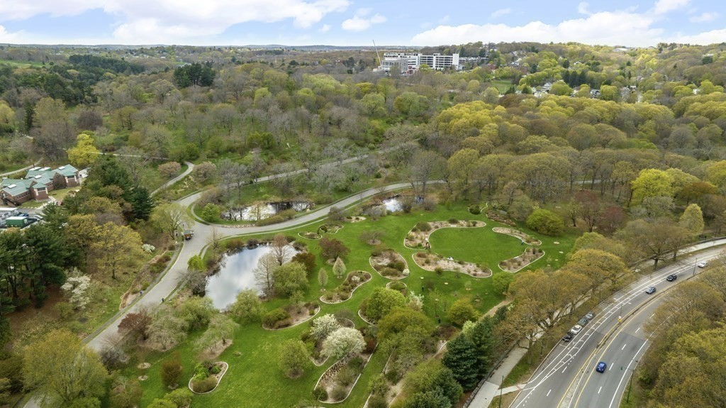 384 Arborway Boston, MA 02130 - Photo 28 of 39 a view of a field with a lush green forest