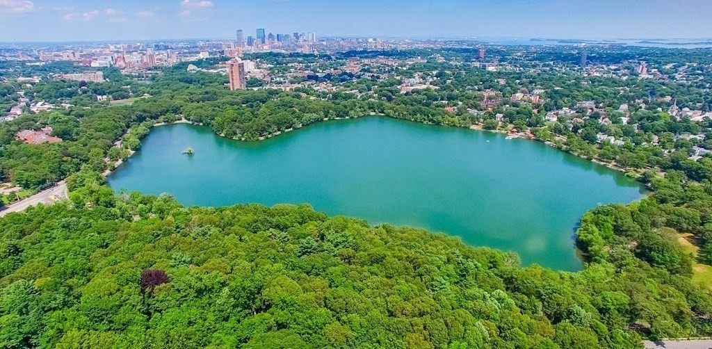 384 Arborway Boston, MA 02130 - Photo 38 of 39 an aerial view of a residential houses with outdoor space and trees all around
