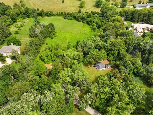 a view of a yard with plants