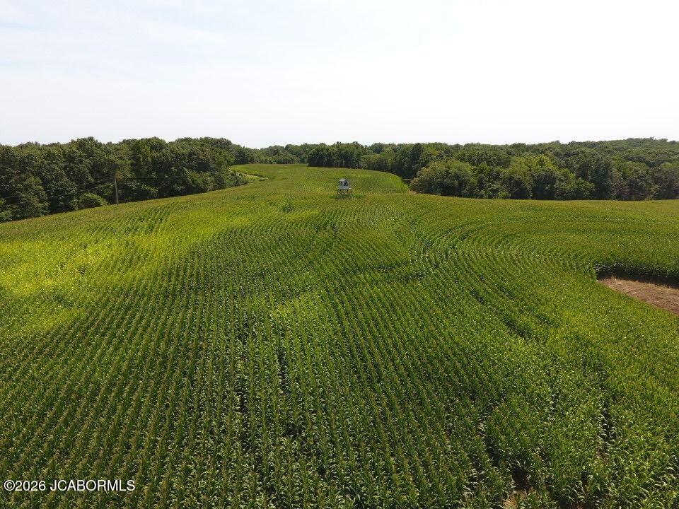 Tbd State Route East Glasgow, MO 65254 - Photo 29 of 67 Gallery Image 29