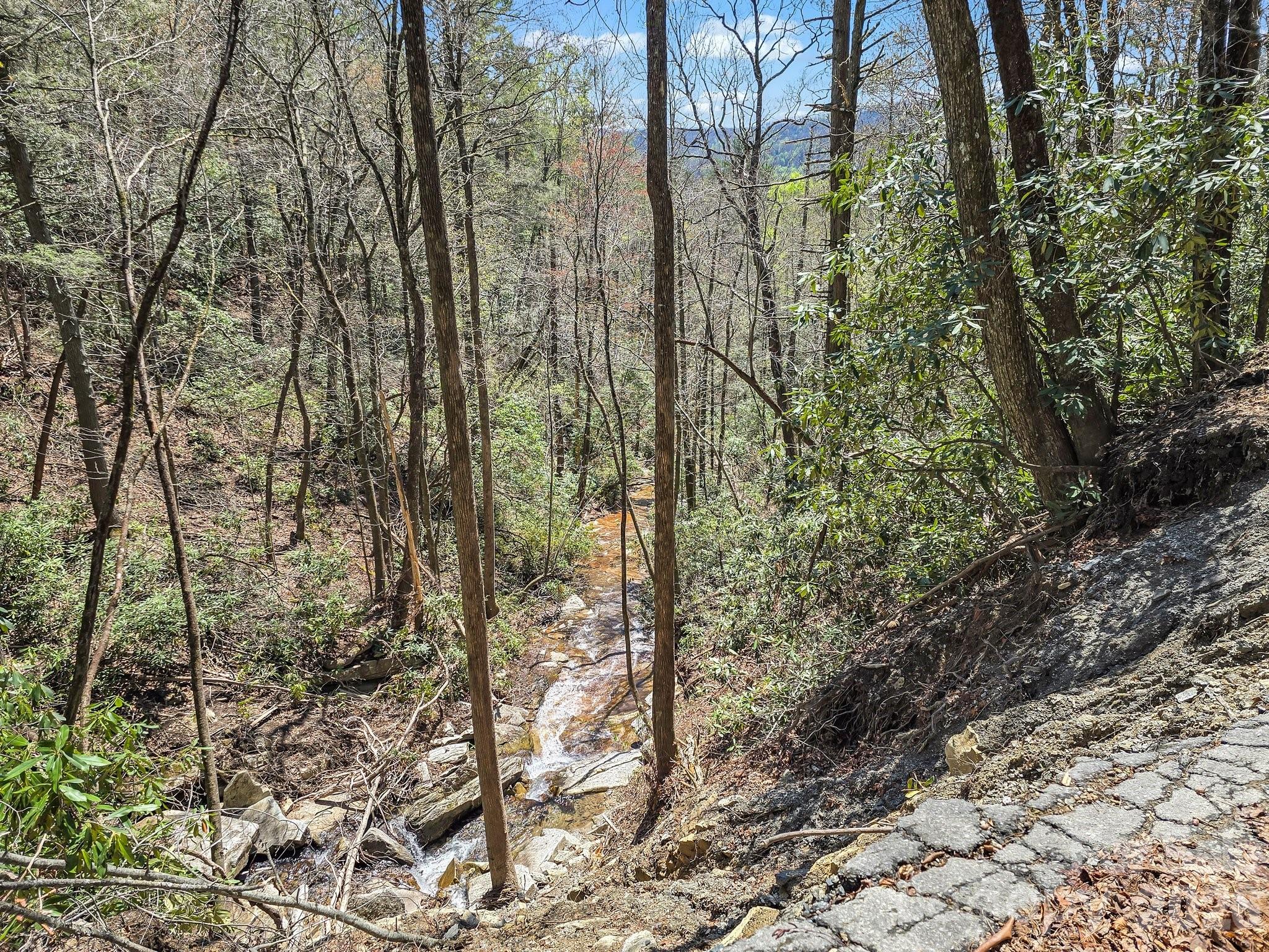 999 Bulling Creek Road Penrose, NC 28766 - Photo 15 of 37
