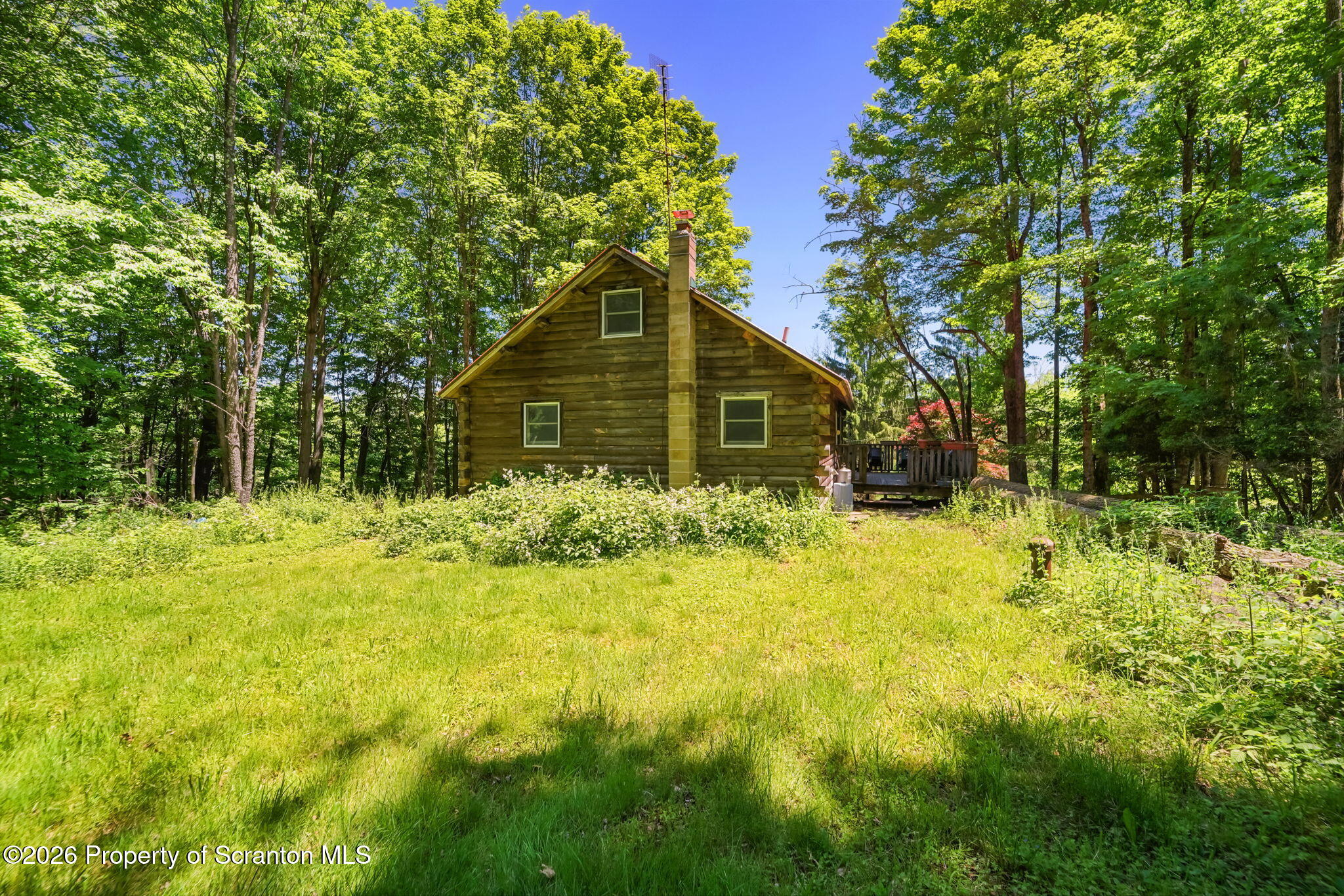 153 Daw Road Pleasant Mount, PA 18453 - Photo 11 of 34 Back