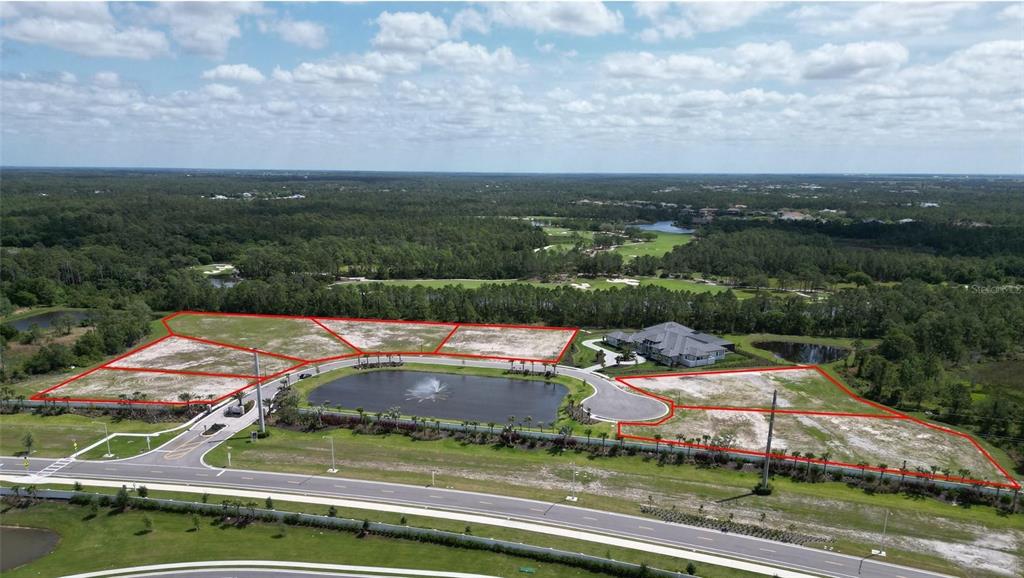 18341 Briar Ridge Place Bradenton, FL 34202 - Photo 3 of 5 an aerial view of a house with a garden