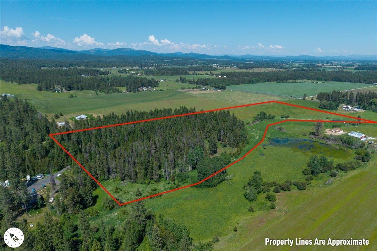 4668 Williams Valley Road Clayton, WA 99110 - Photo 6 of 44