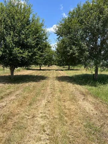 $445,000 | 6998 Neiman Road, Brookshire, TX 77423