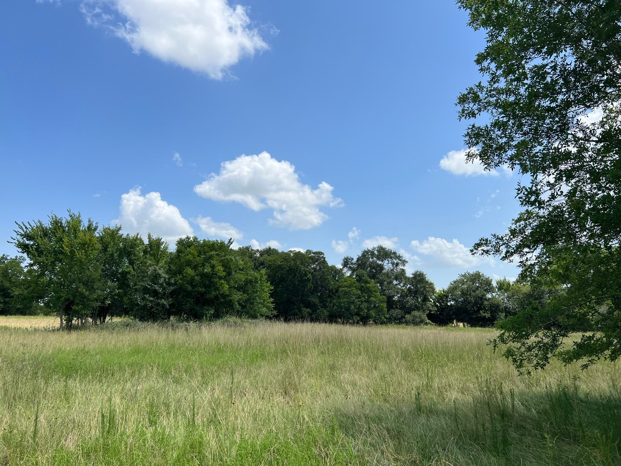 6998 Neiman Road Brookshire, TX 77423 - Photo 11 of 28