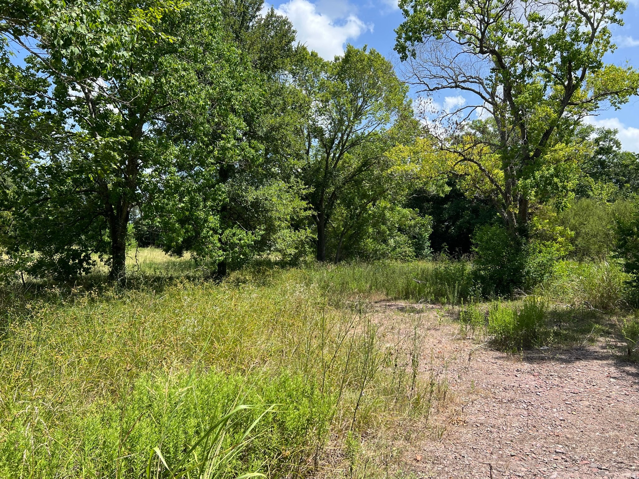 6998 Neiman Road Brookshire, TX 77423 - Photo 16 of 28