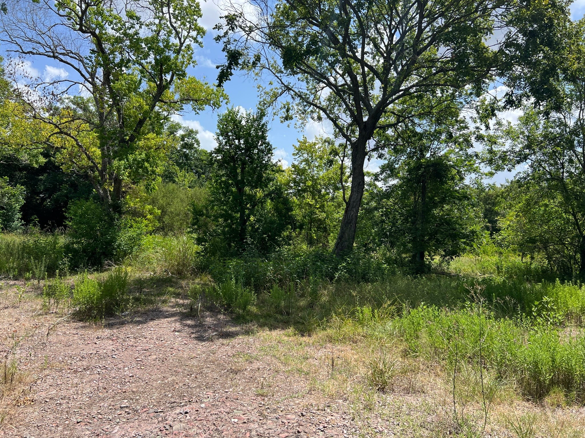 6998 Neiman Road Brookshire, TX 77423 - Photo 17 of 28