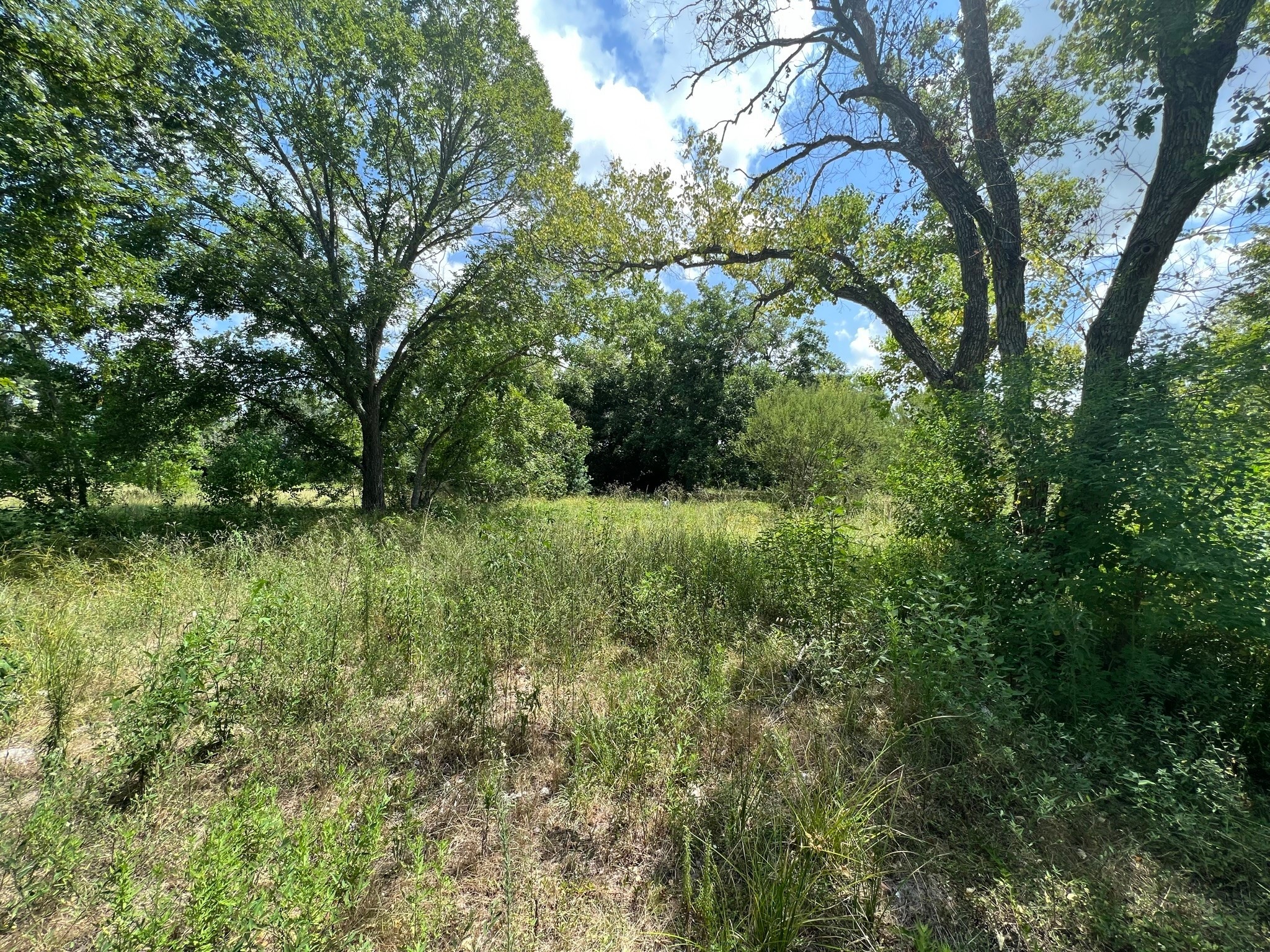 6998 Neiman Road Brookshire, TX 77423 - Photo 19 of 28