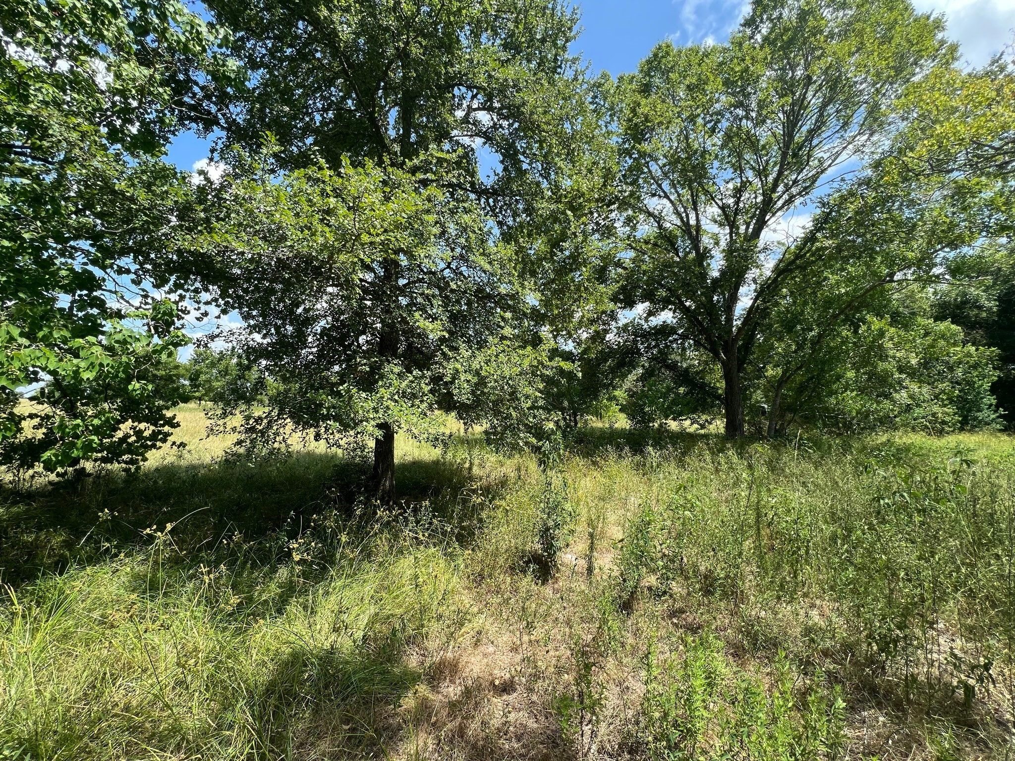 6998 Neiman Road Brookshire, TX 77423 - Photo 20 of 28