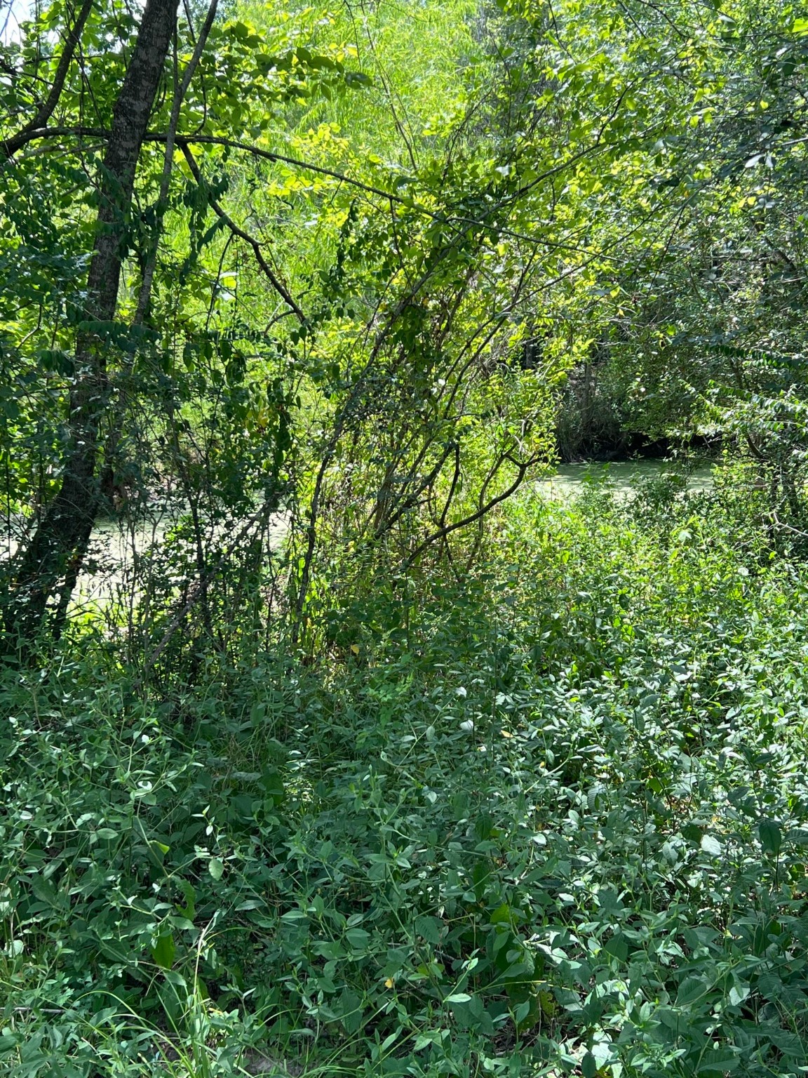 6998 Neiman Road Brookshire, TX 77423 - Photo 24 of 28