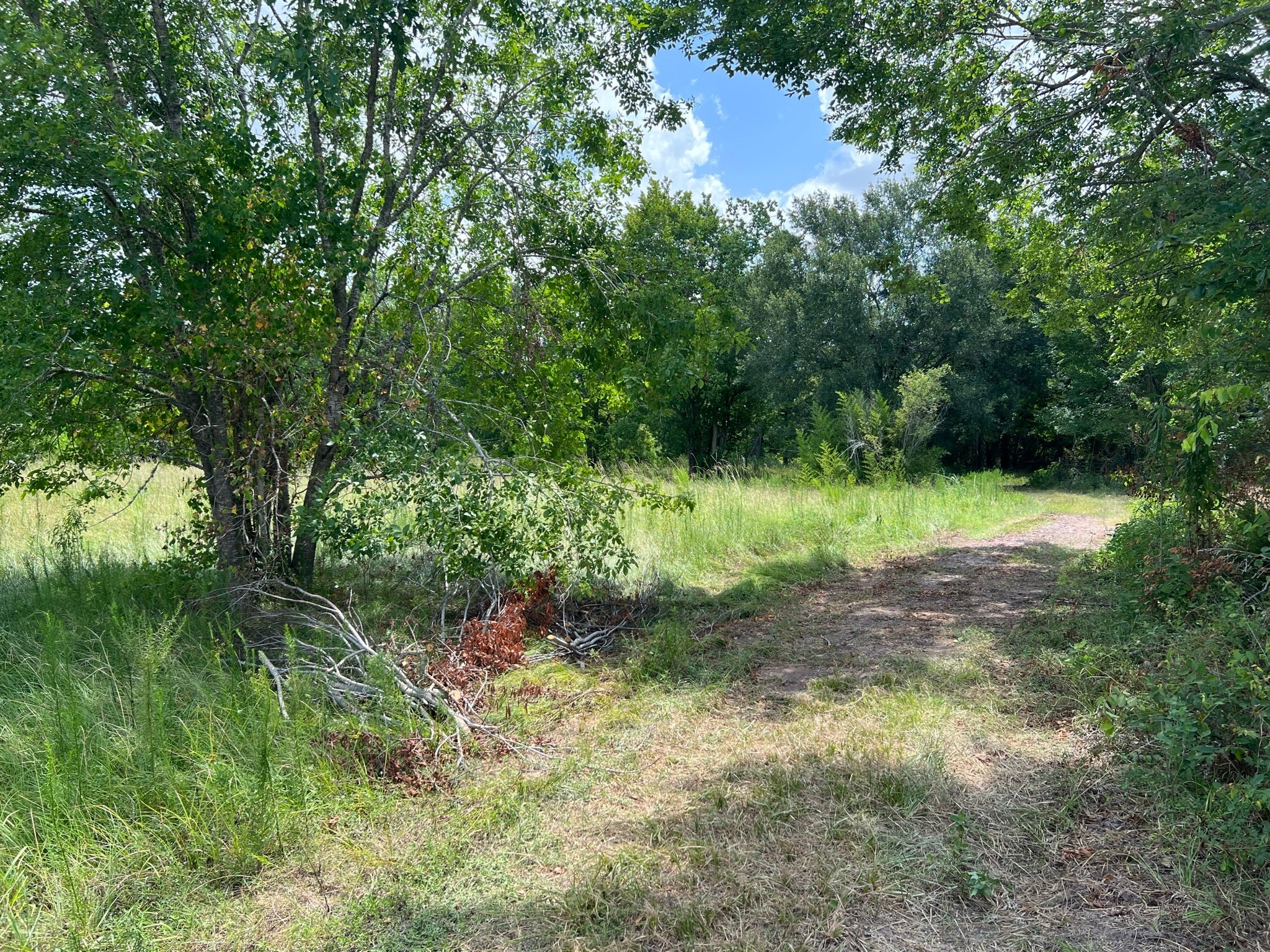 6998 Neiman Road Brookshire, TX 77423 - Photo 28 of 28