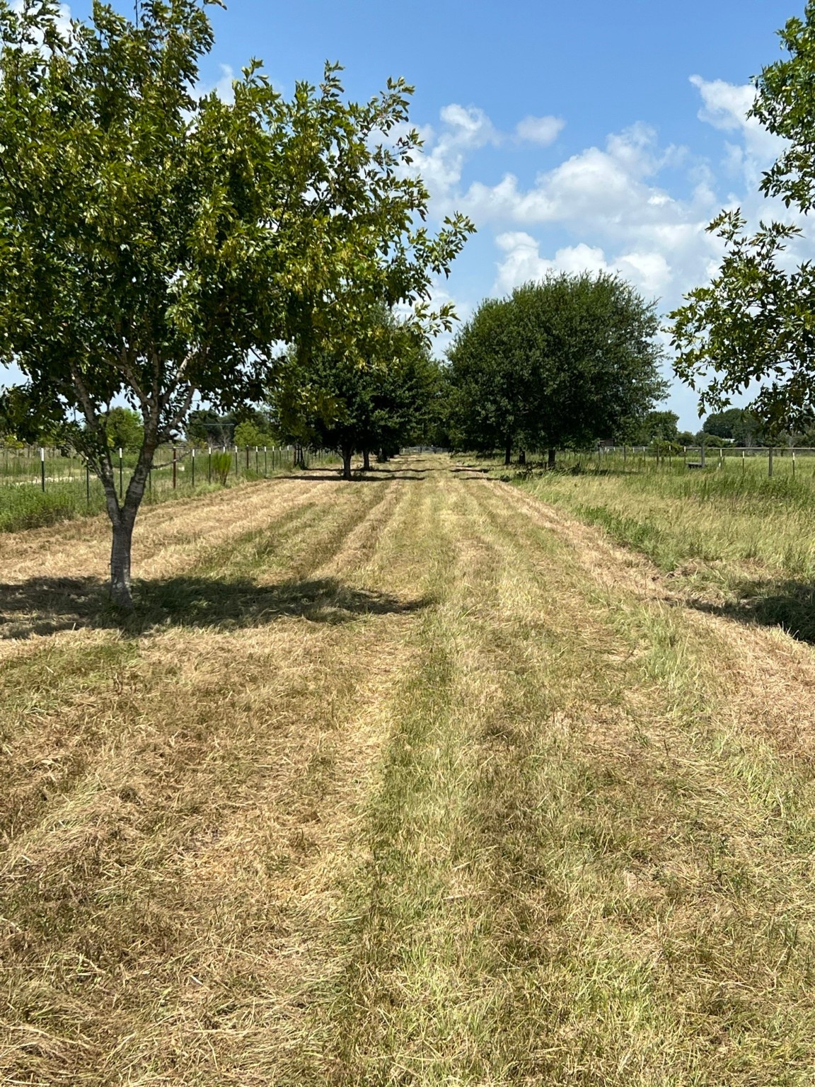 6998 Neiman Road Brookshire, TX 77423 - Photo 3 of 28