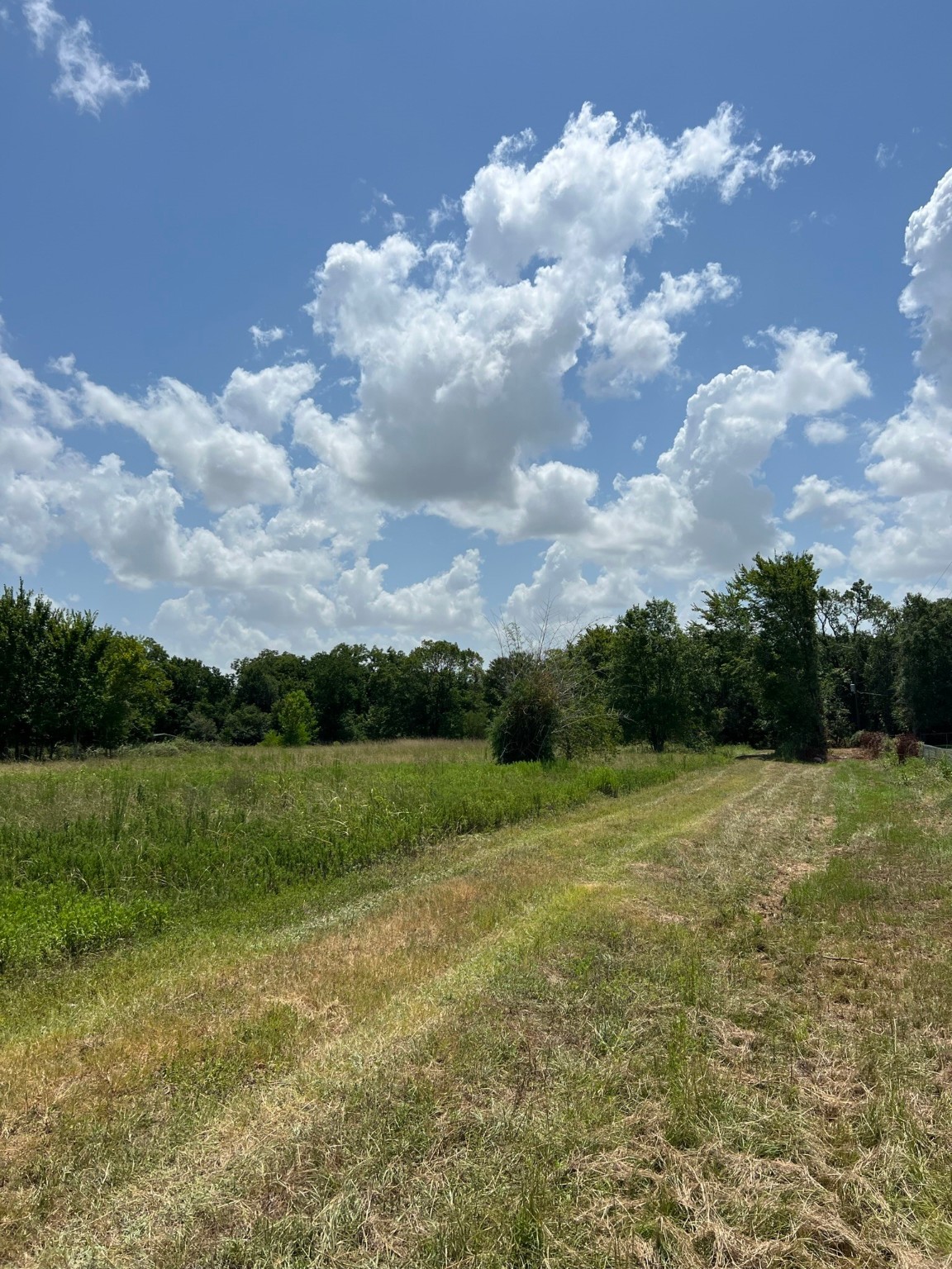 6998 Neiman Road Brookshire, TX 77423 - Photo 4 of 28