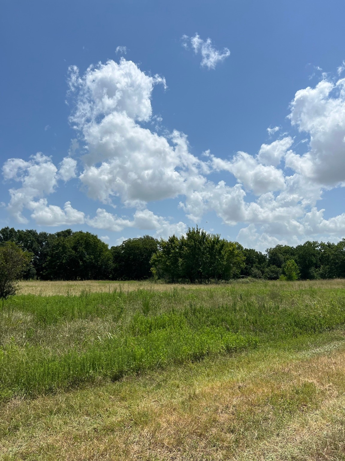 6998 Neiman Road Brookshire, TX 77423 - Photo 5 of 28