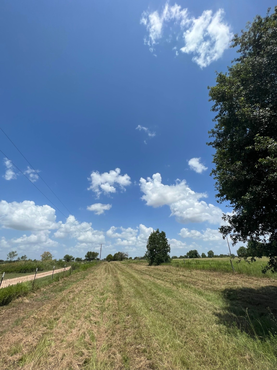 6998 Neiman Road Brookshire, TX 77423 - Photo 6 of 28