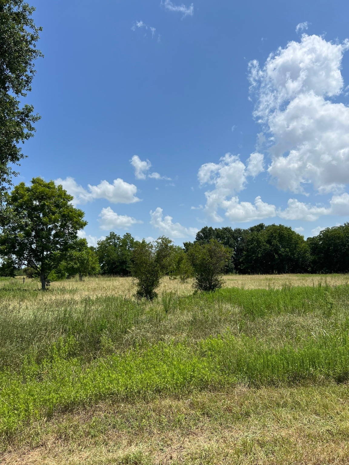 6998 Neiman Road Brookshire, TX 77423 - Photo 7 of 28