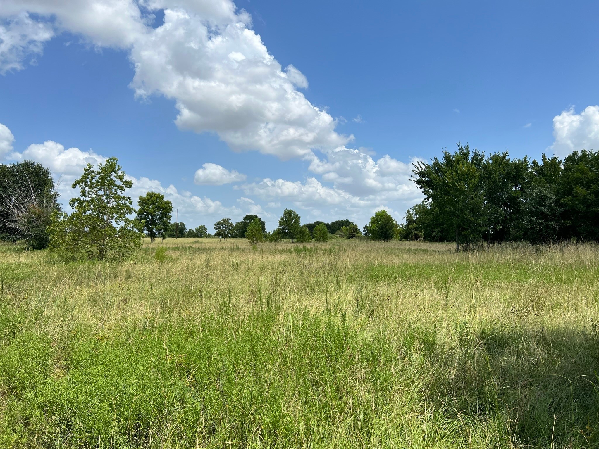 6998 Neiman Road Brookshire, TX 77423 - Photo 8 of 28