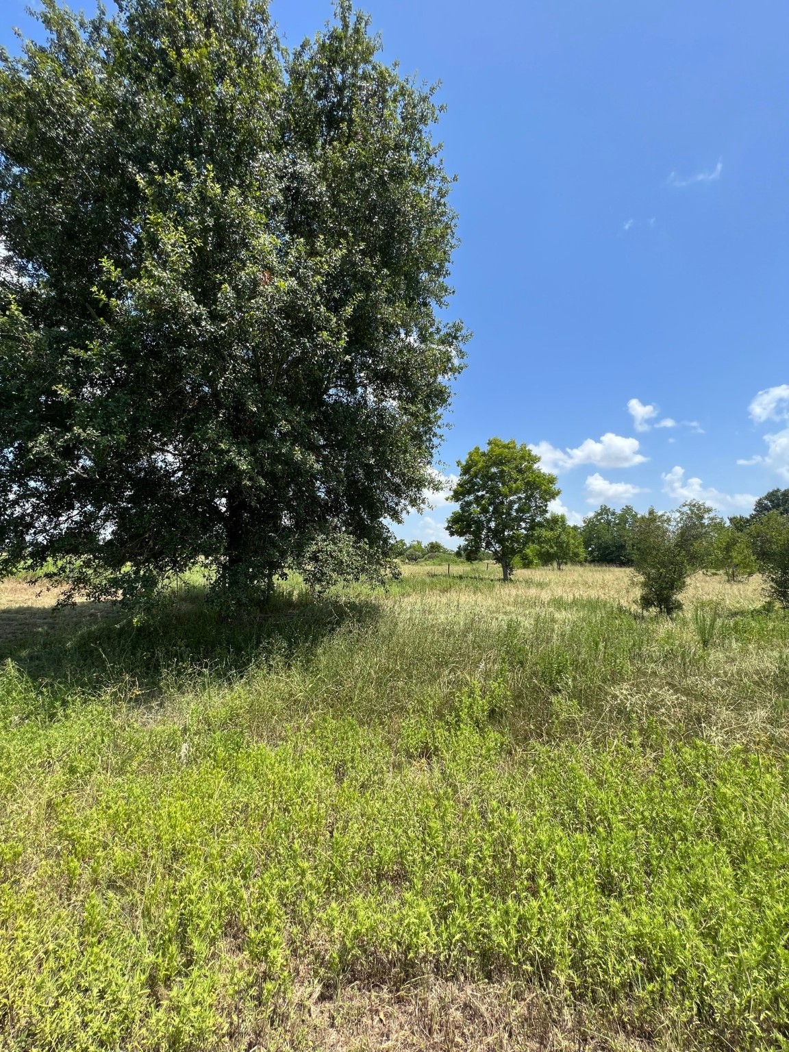 6998 Neiman Road Brookshire, TX 77423 - Photo 10 of 28