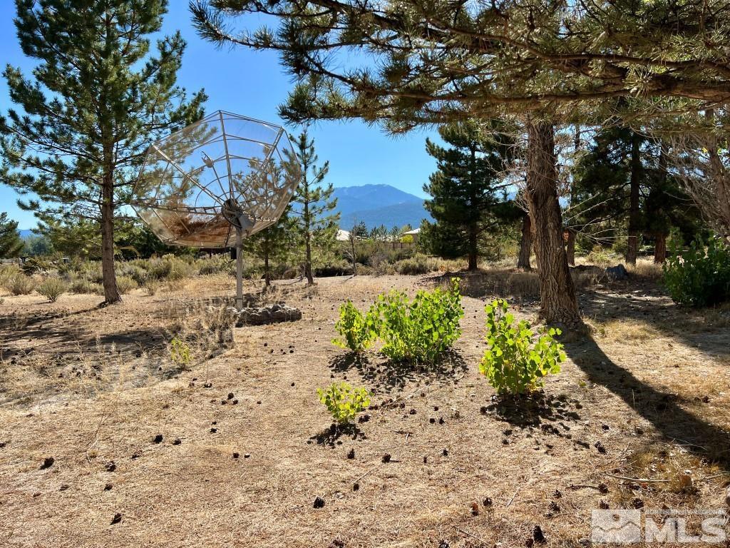 15775 Fawn Lane Reno, NV 89511 - Photo 15 of 37 Photo 15