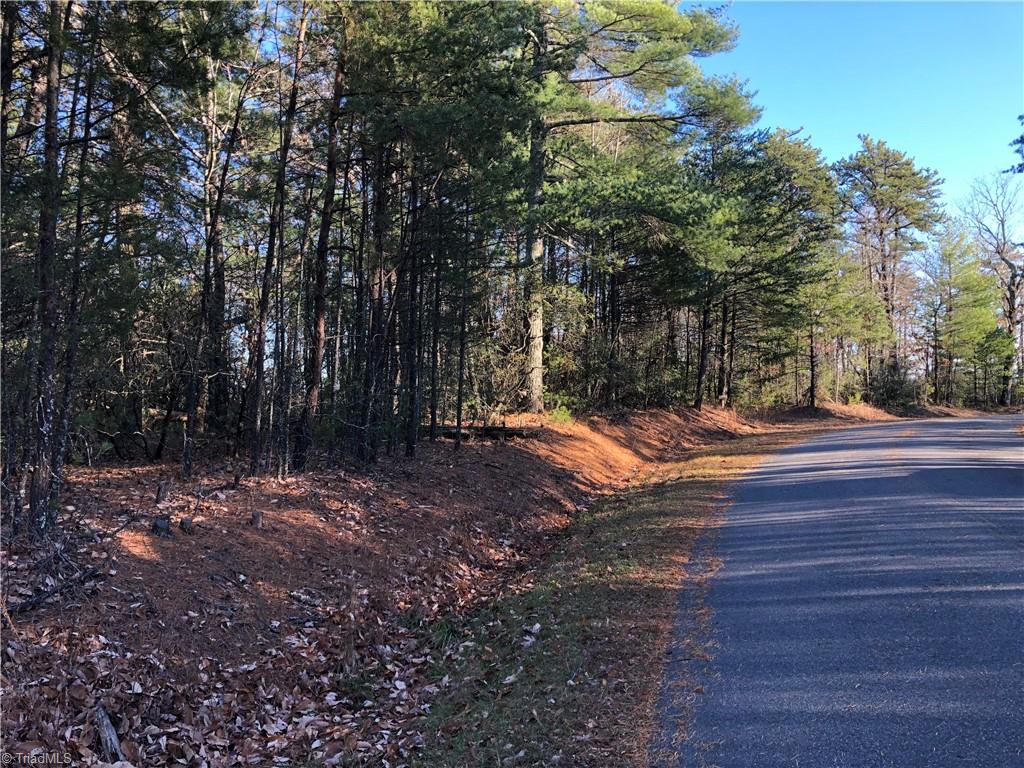 Lot 72-73 Buck Mountain Road Purlear, NC 28665 - Photo 2 of 44 350' of road frontage on Buck Mountain Road