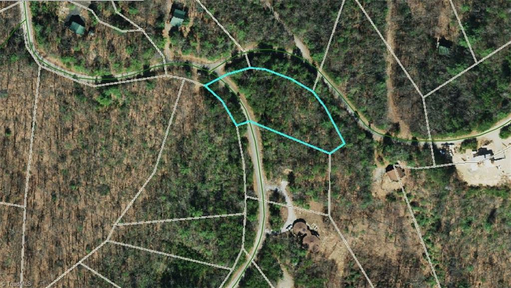 Lot 72-73 Buck Mountain Road Purlear, NC 28665 - Photo 12 of 44 Aerial View Lot 72 Note: The lot overlay is skewed on the Wilkes County GIS. Lot overlay should be shifted up and to the right to align with the roads.