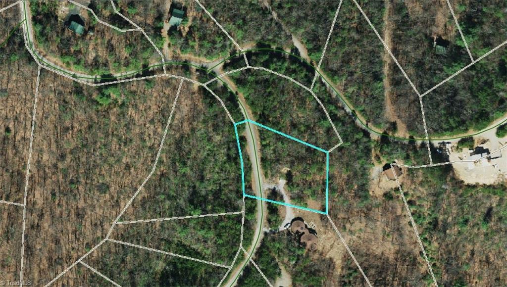 Lot 72-73 Buck Mountain Road Purlear, NC 28665 - Photo 14 of 44 Aerial View Lot 73 Note: The lot overlay is skewed on the Wilkes County GIS. Lot overlay should be shifted up and to the right to align with the roads.