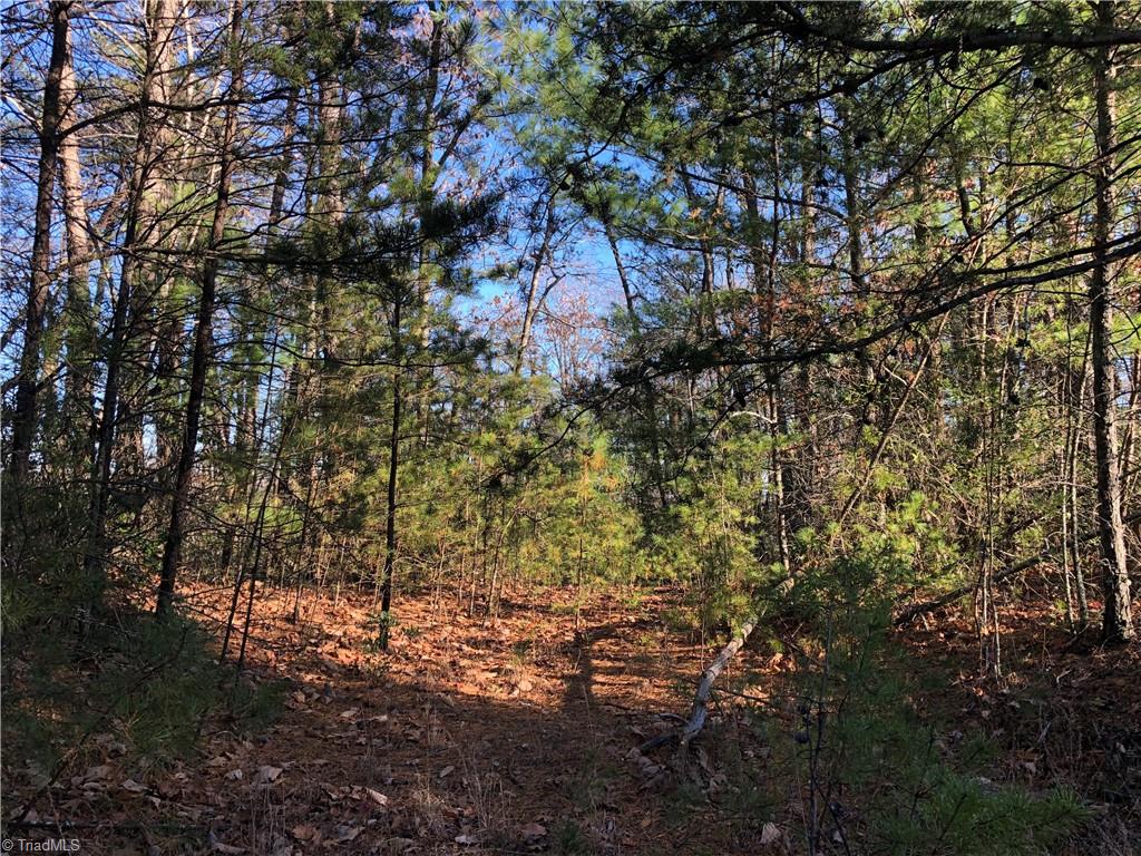 Lot 72-73 Buck Mountain Road Purlear, NC 28665 - Photo 17 of 44