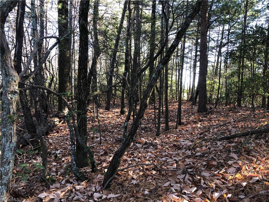 Lot 72-73 Buck Mountain Road Purlear, NC 28665 - Photo 18 of 44