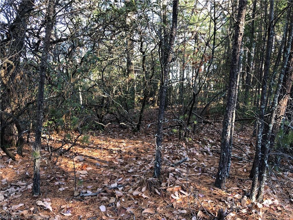 Lot 72-73 Buck Mountain Road Purlear, NC 28665 - Photo 19 of 44
