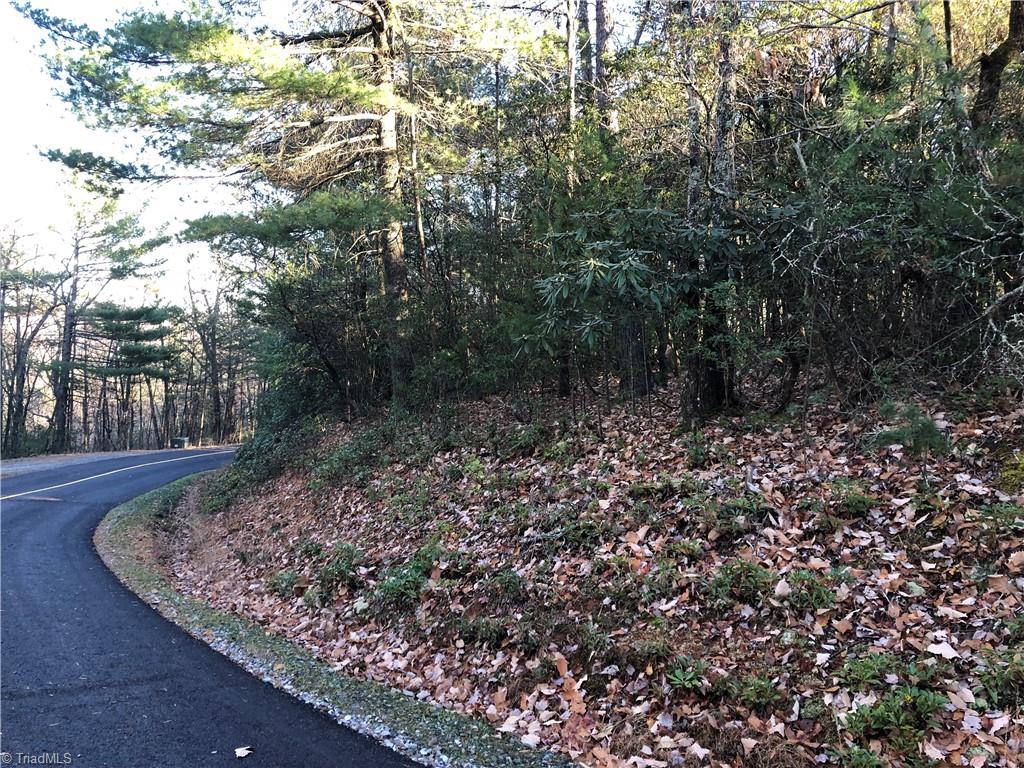Lot 72-73 Buck Mountain Road Purlear, NC 28665 - Photo 20 of 44 View of Lot 72 from Eagle Nest Rd.