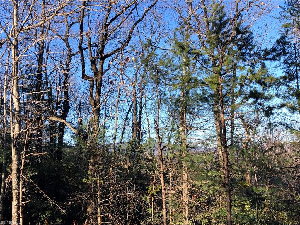 Lot 72-73 Buck Mountain Road Purlear, NC 28665 - Photo 3 of 44 Great view potential