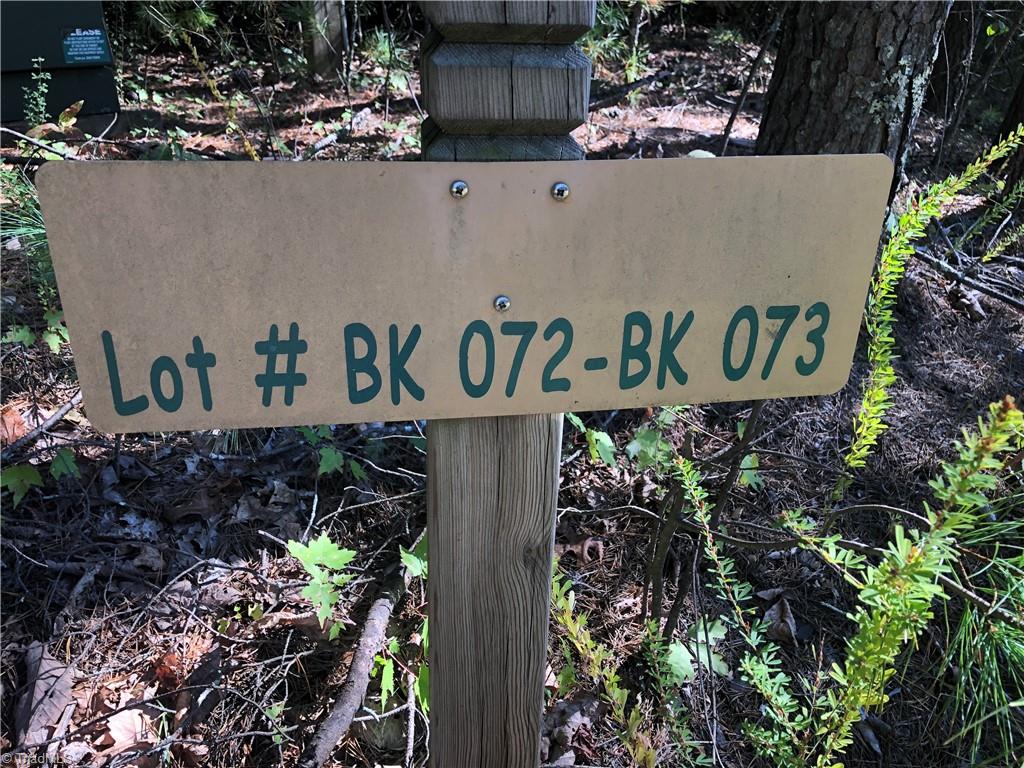 Lot 72-73 Buck Mountain Road Purlear, NC 28665 - Photo 4 of 44