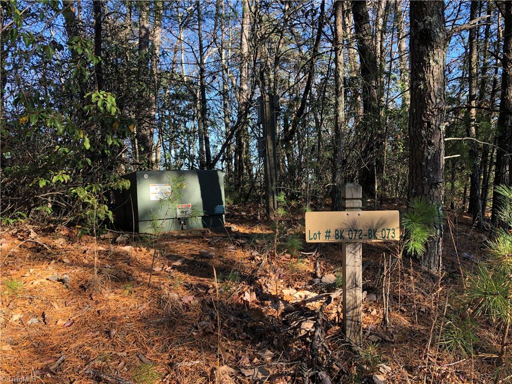 Lot 72-73 Buck Mountain Road Purlear, NC 28665 - Photo 6 of 44 Underground utilities to Lot 72.