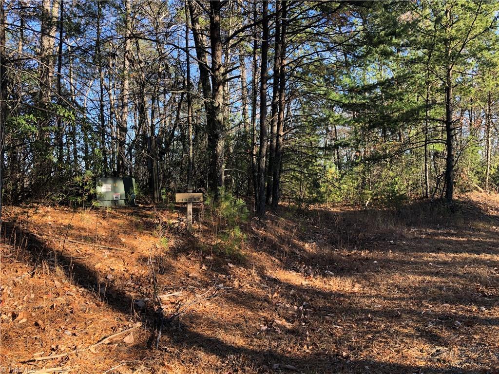 Lot 72-73 Buck Mountain Road Purlear, NC 28665 - Photo 7 of 44 Existing road bed on Lot 72 spans from Buck Mountain Road to Eagle Nest Rd. Could be used for a driveway with some improvements.