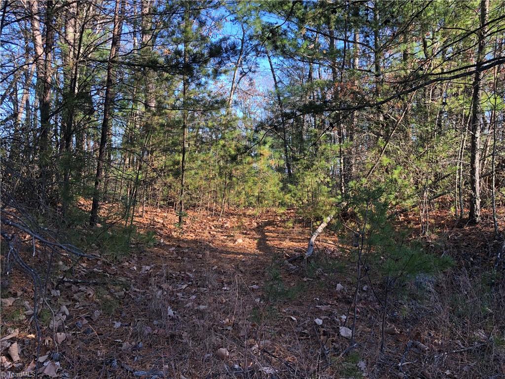 Lot 72-73 Buck Mountain Road Purlear, NC 28665 - Photo 8 of 44