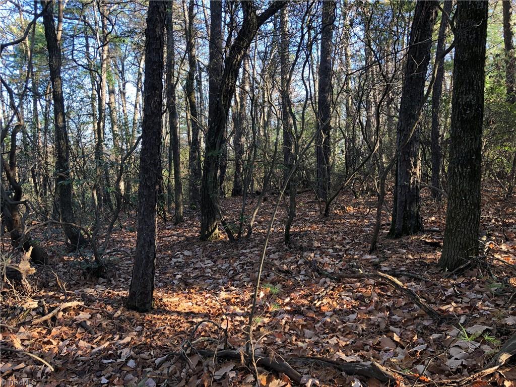 Lot 72-73 Buck Mountain Road Purlear, NC 28665 - Photo 9 of 44